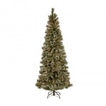 Kerstbomen